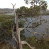 Effigy Mounds Jigsaw