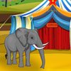 Elephant Circus