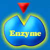 Enzymatic!