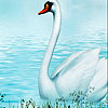 Fabulous white swans puzzle