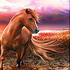Fantastic horse slide puzzle