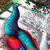 Fantastic talkative birds slide puzzle