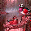 Fantasy river ducks slide puzzle