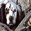 Farm dog slide puzzle