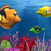 FishMunch