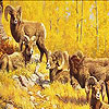 Five aries on the woods puzzle