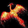 Flame  bird slide puzzle