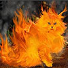 Flame cat slide puzzle