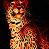 Flame jaguar slide puzzle