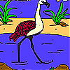 Flamingo in the river coloring