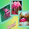 Flamingos in tropical island puzzle