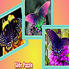 Flower garden and butterflies puzzle