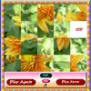 Flower Slider