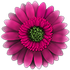 FlowerCare