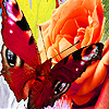 Flowers and butterfly puzzle