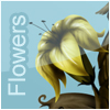 Flowers on line
