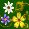 Flower Valley