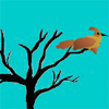 Flying bird