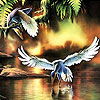 Flying birds slide puzzle