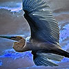 Flying blue stork puzzle