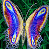 Flying colored wings slide puzzle