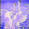 Flying swans in water slide puzzle