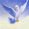 Flying white seagull slide puzzle