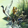 Fox and birds slide puzzle