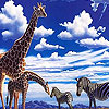 Friends in the desert puzzle