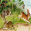 Friends in the woods slide puzzle