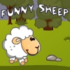 Funny Sheep