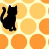 Gato negro
