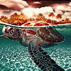 Giant ocean turtles puzzle