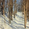 Glacial Lakes State Park Jigsaw