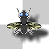 GO FLY GO!