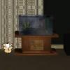 Gold Room Escape 9