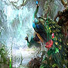 Grand peacocks puzzle