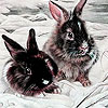 Gray rabbits in snow puzzle