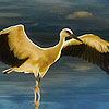 Great white storks puzzle