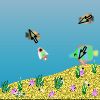 Greedy Fish