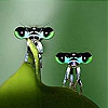 Green flies slide puzzle