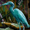 Green heron slide puzzle