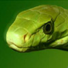 Green Mamba