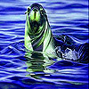 Green sea lion slide puzzle