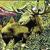Green wild deer slide puzzle