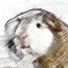 Guinea piggy memory game