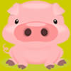 Hammer Pig