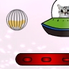 Hamster Survival
