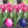 Happy Easter Differences