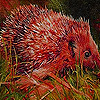 Hedgehog in farm slide puzzle